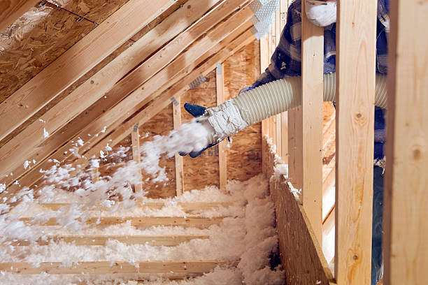 Best Batt and Roll Insulation  in Detroit Lakes, MN